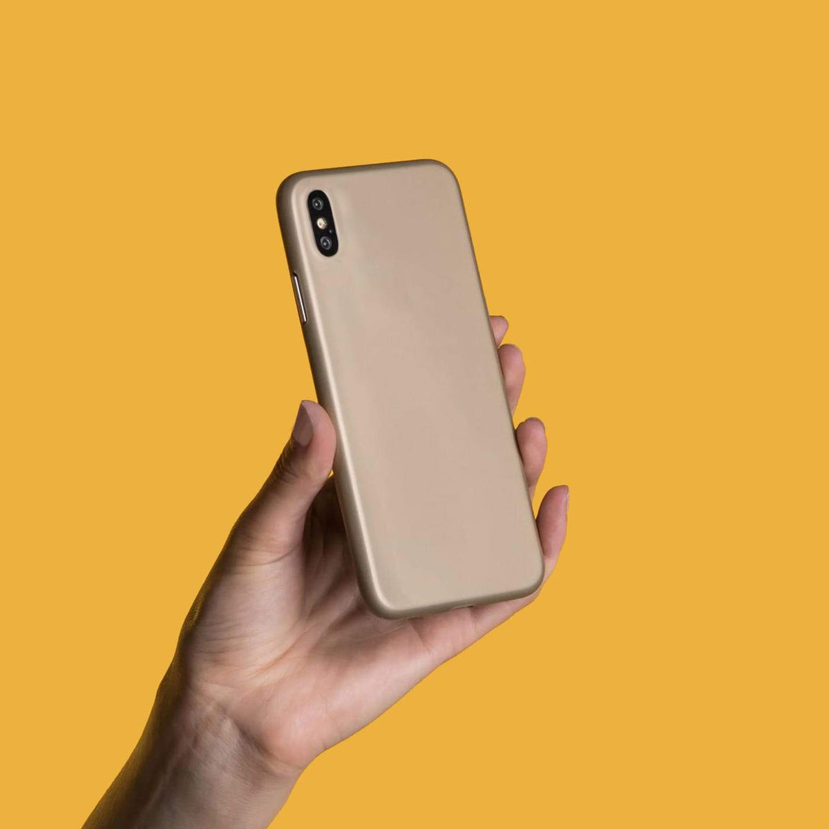 #color_gold