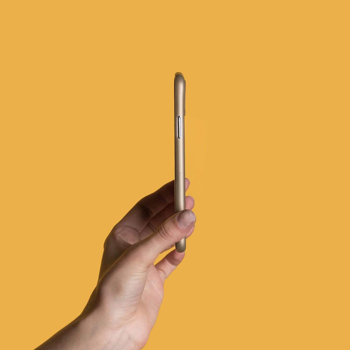 #color_gold
