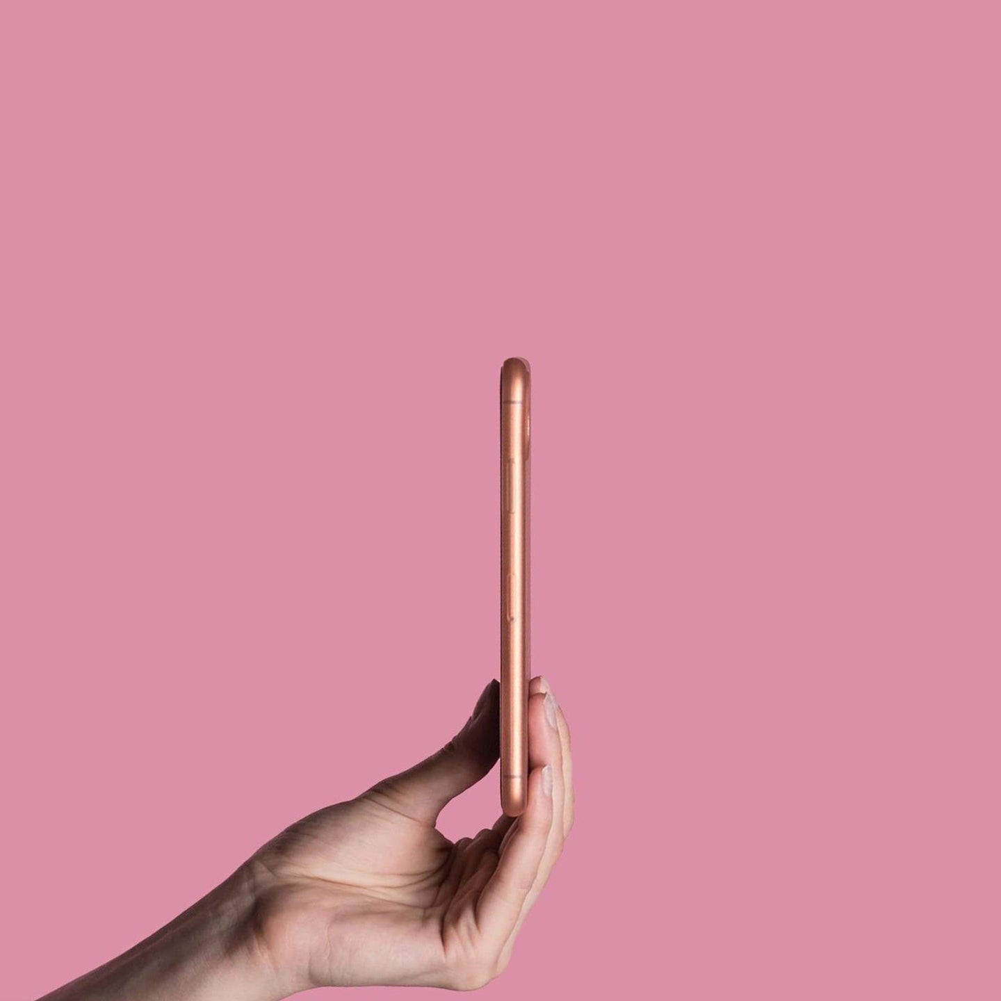 #color_rose
